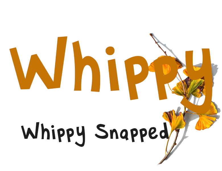 whippy-snapped字体下载