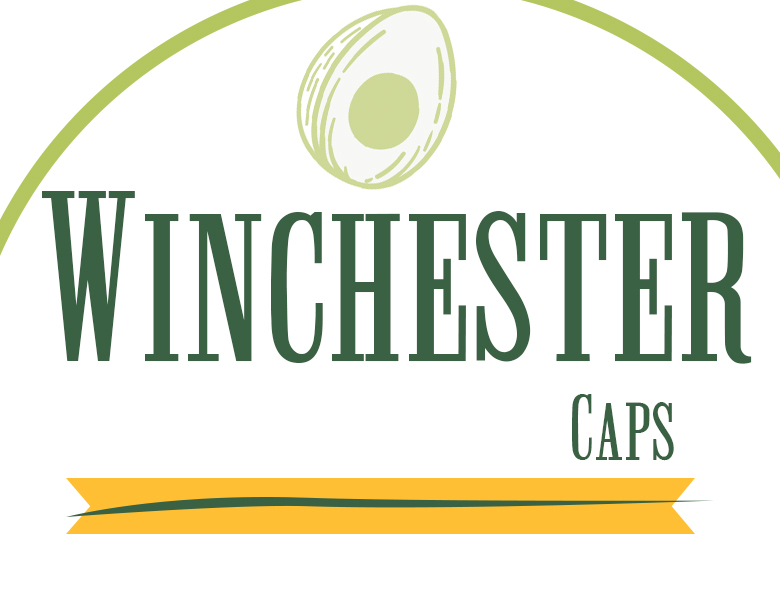 winchester字体下载