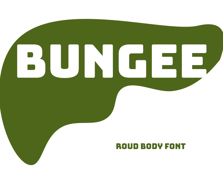 bungee字体下载
