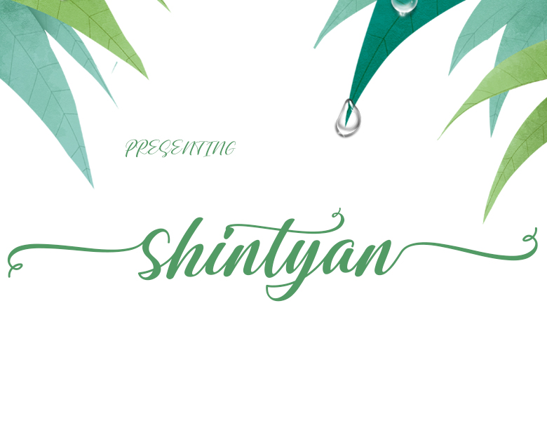 shintyan英文字体免费下载