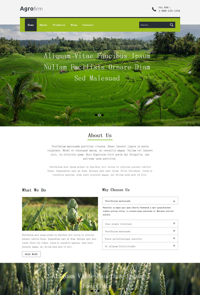 农业生产企业网站模板（农业企业简介模板）