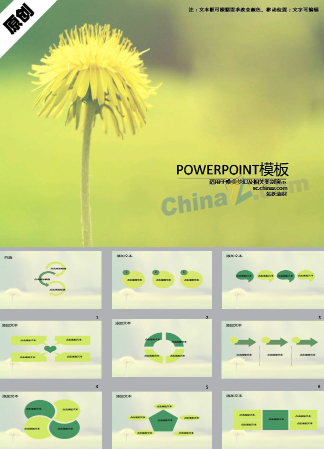 青葱菊花ppt模板下载