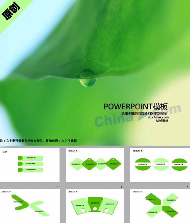 荷叶露珠ppt模板下载