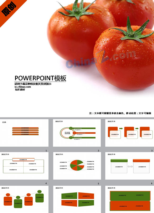 蕃茄栽培技术ppt模板下载