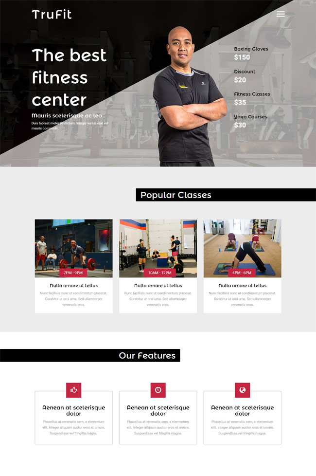 健身教育培训网站模板下载（健身教学网站）