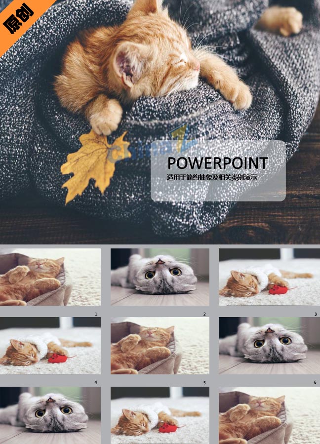 可爱猫星人ppt模板下载