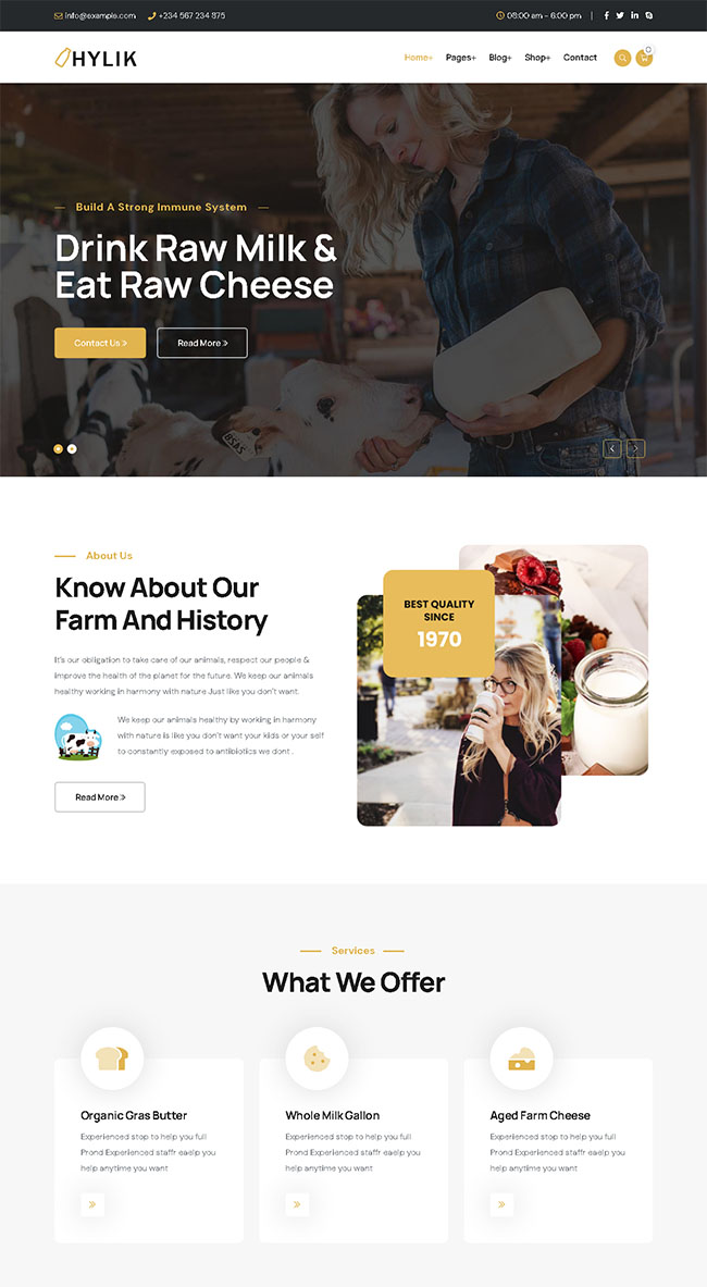 牛奶制品企业网站HTML5模板（牛奶网站设计）