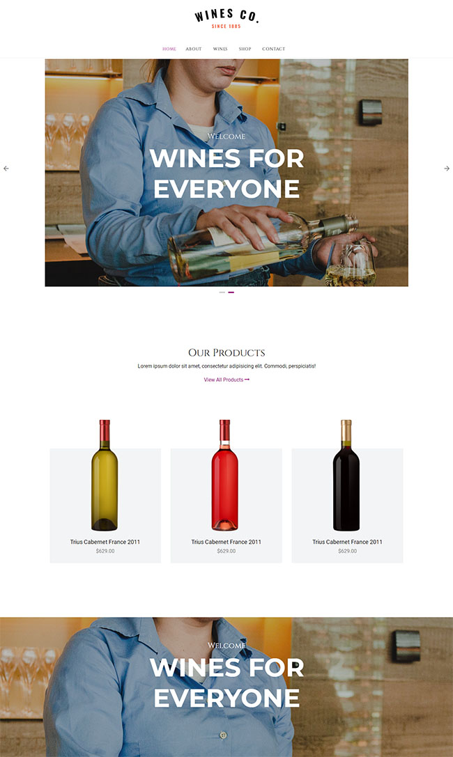 酒庄葡萄酒网上商城网站模板（葡萄酒网页）
