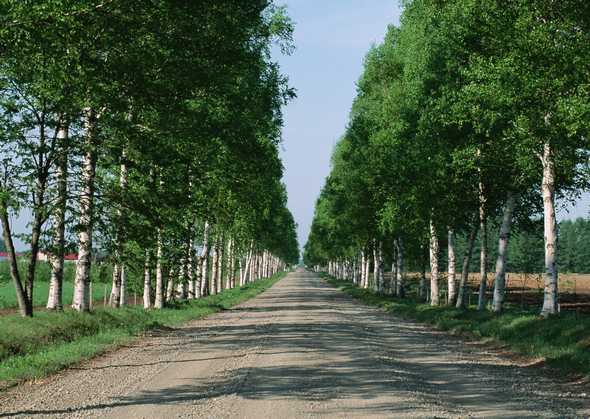 公路 164