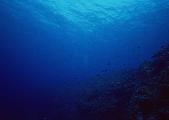 海底世界 100