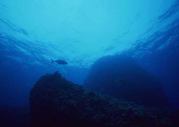 海底世界 111