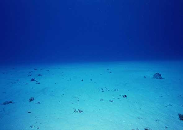 海底世界 123