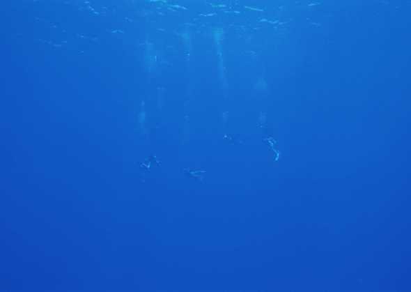 海底世界 39