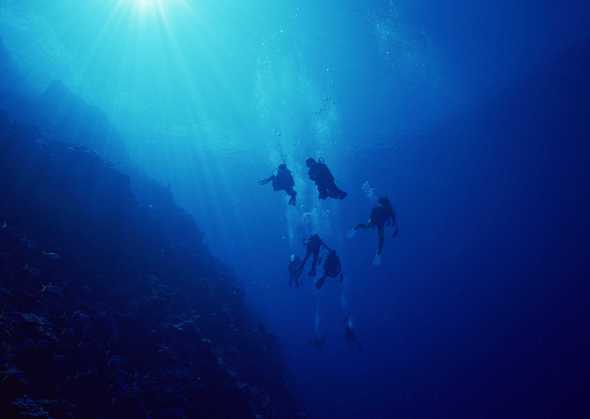 海底世界 44