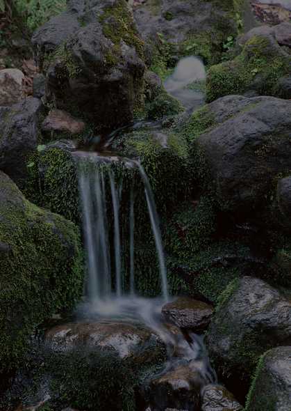 瀑布水域 345