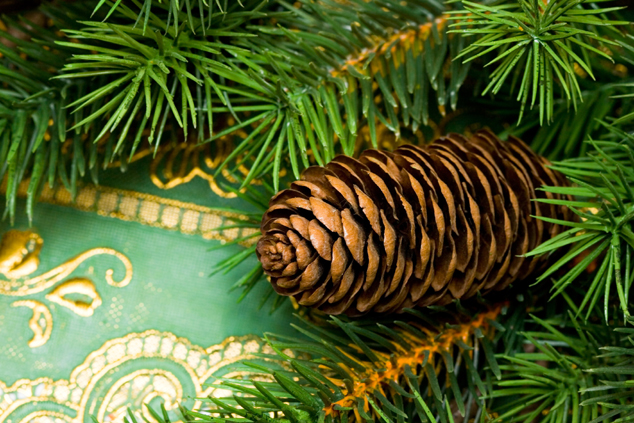 圣诞树装饰素材图片