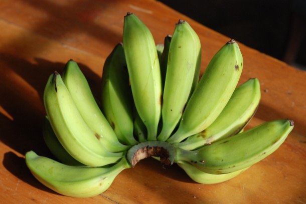 高清香蕉素材图片下载