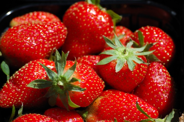 高清草莓水果图片下载