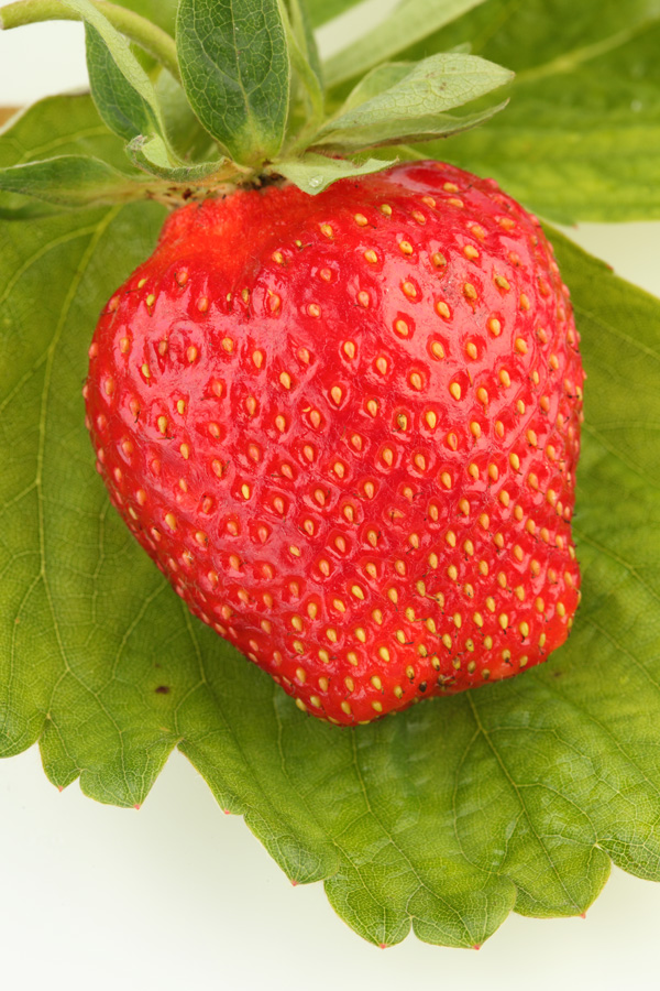 高清草莓素材图片下载