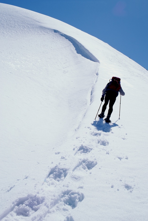 冬季雪地图片下载