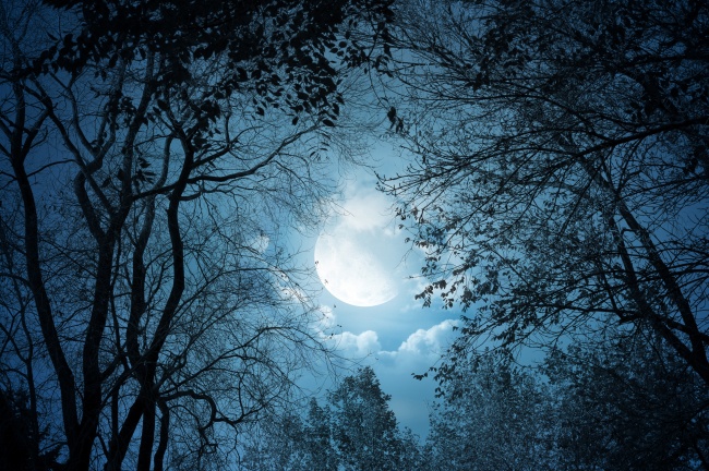 夜晚月亮图片下载