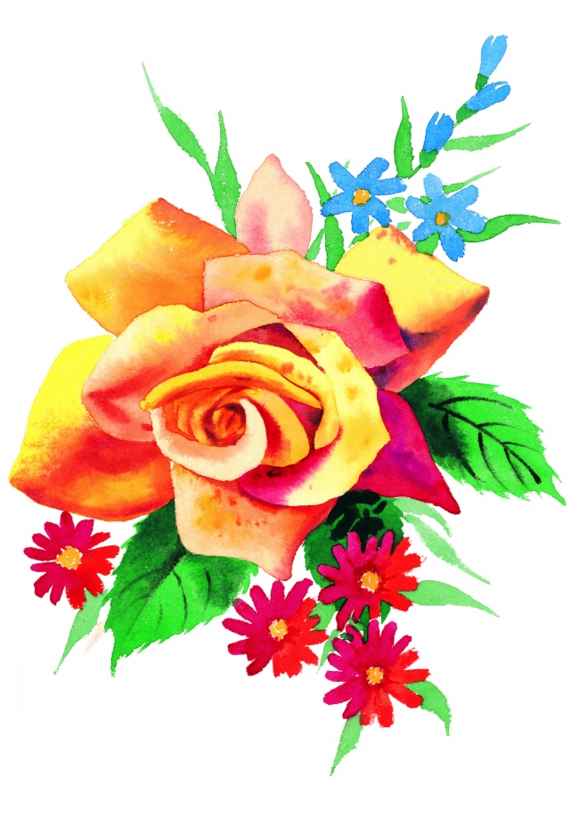 鲜艳彩绘玫瑰花图片