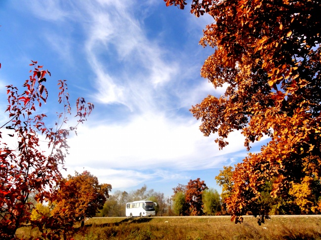 ‘~郊外秋天风景图片  ~’ 的图片
