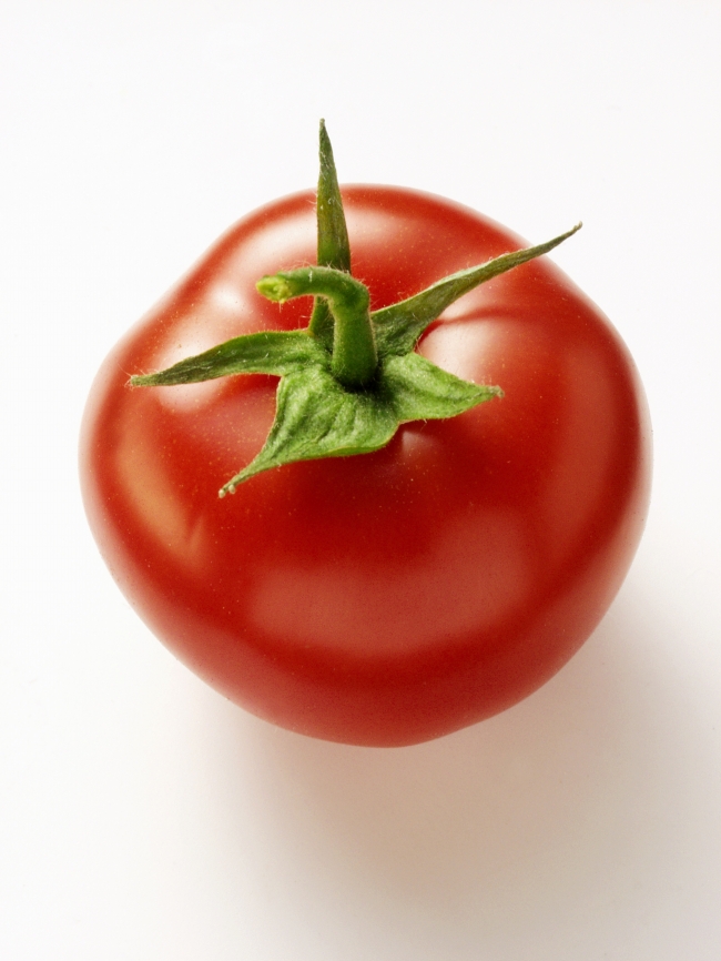 西红柿的图片