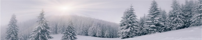 冬天雪景图片