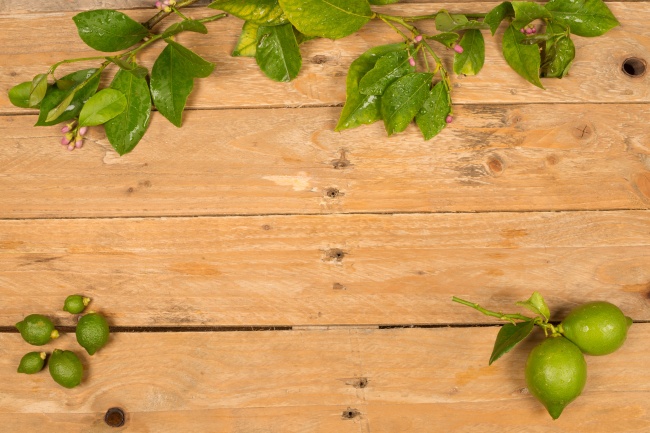 绿色果实枝叶木板背景图片