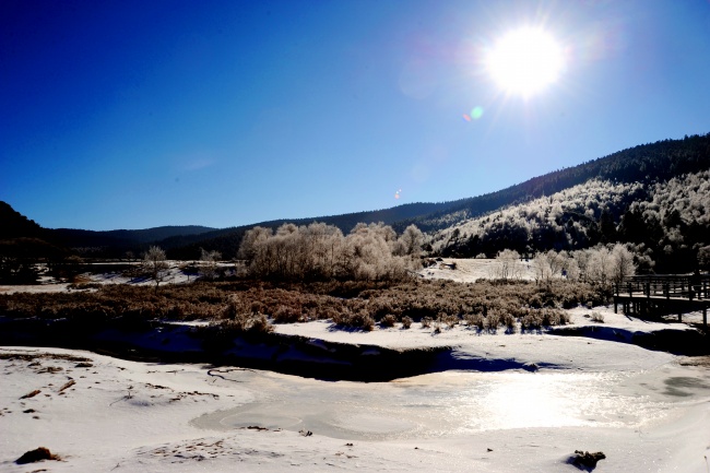 蓝天阳光树木雪地风景图片