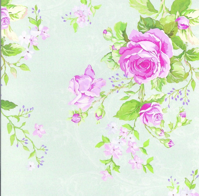 淡雅牡丹花卉背景图片