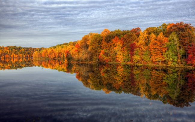 秋天树林湖泊图片