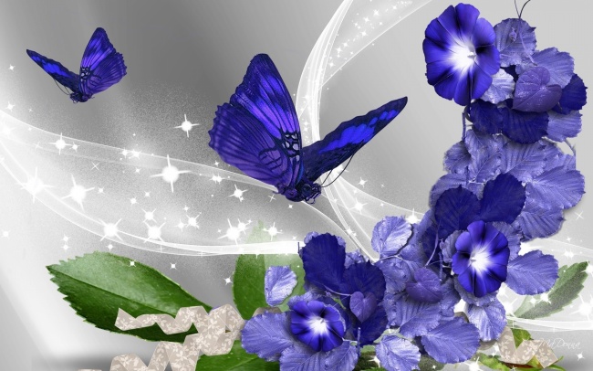 ‘~紫色鲜花蝴蝶图片  ~’ 的图片