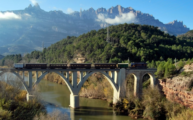 桥上行驶的火车图片