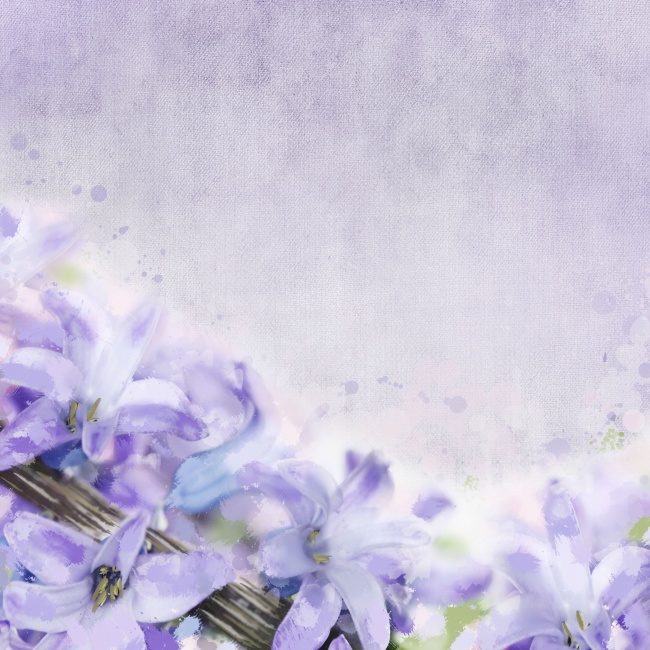 唯美紫色百合花图片