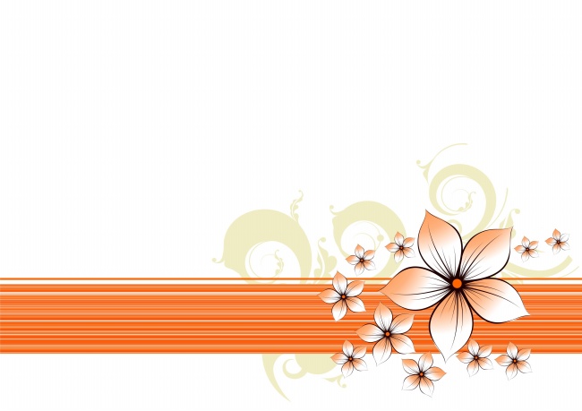 橙色花卉背景图片