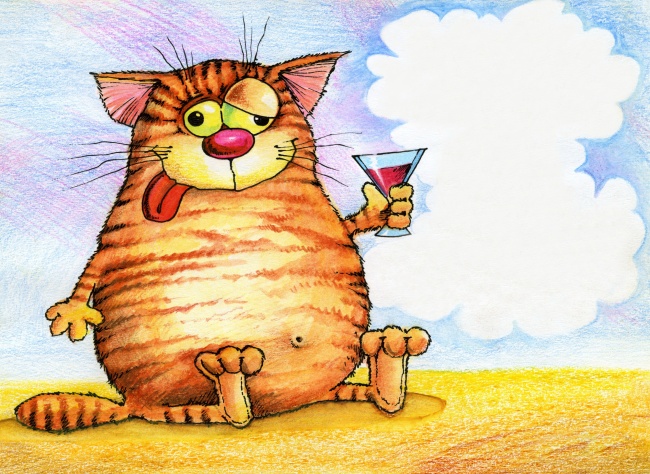 ‘~喝酒的小猫图片  ~’ 的图片