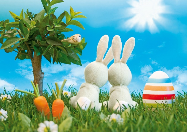 ‘~复活节草地彩蛋兔子图片  ~’ 的图片