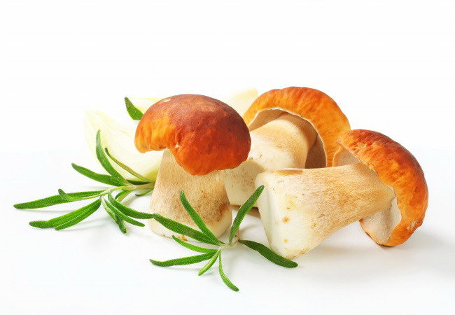 ‘~可食用的蘑菇图片  ~’ 的图片