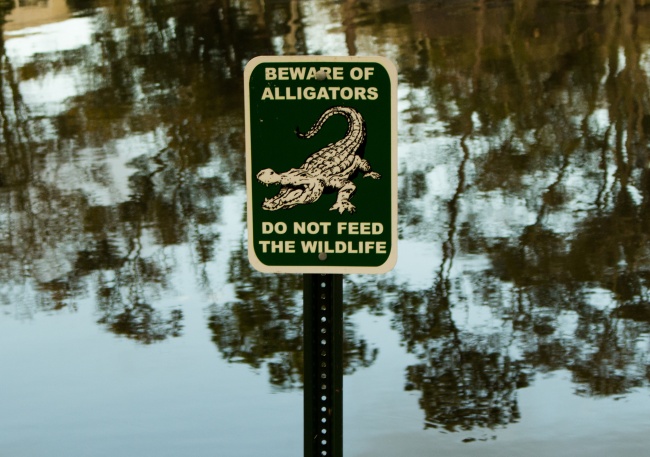 鳄鱼保护区标志牌图片