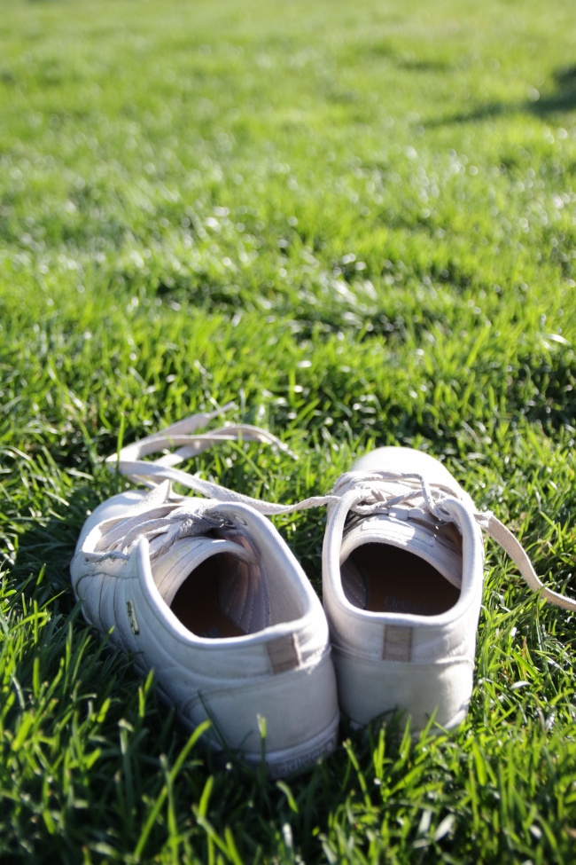 草地运动鞋图片