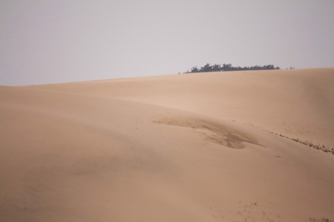‘~沙漠沙丘图片  ~’ 的图片