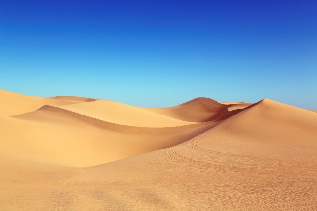 ‘~沙丘沙漠图片  ~’ 的图片