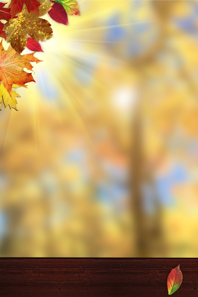 ‘~秋日高清背景  ~’ 的图片