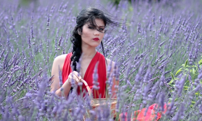 薰衣草花海美女风景图片