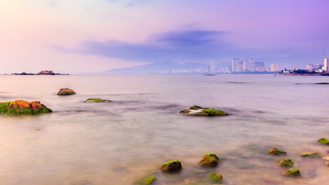 紫色黄昏海岸图片