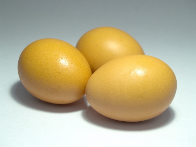 ‘~黄色鸡蛋图片  ~’ 的图片