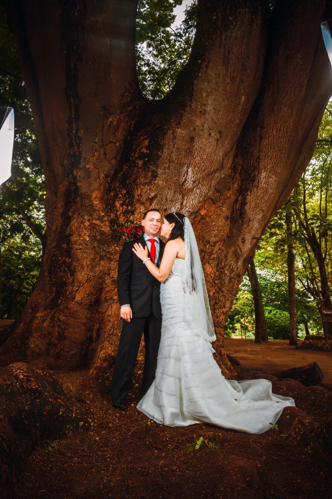 树下婚纱摄影图片