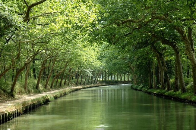 河岸树林风景图片